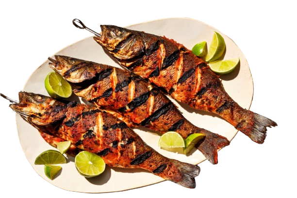 GRILLED FISH
